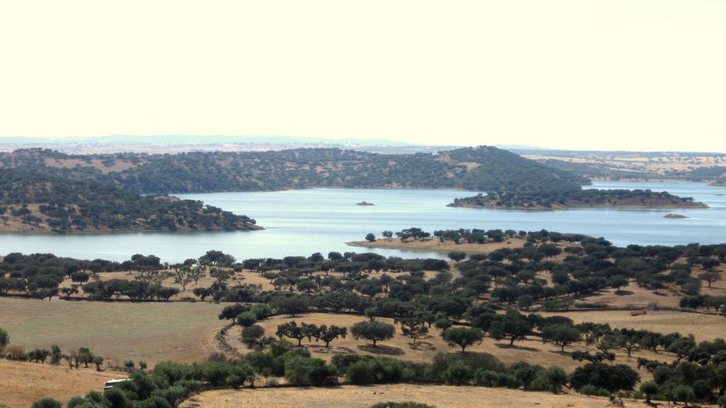 Casa Dos Vizinhos - Casas De Taipa Βίλα São Pedro do Corval Εξωτερικό φωτογραφία